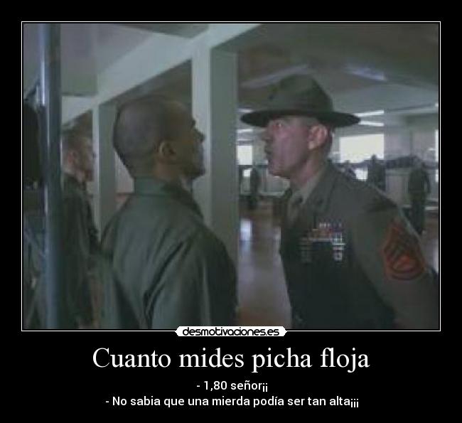 Cuanto mides picha floja - 