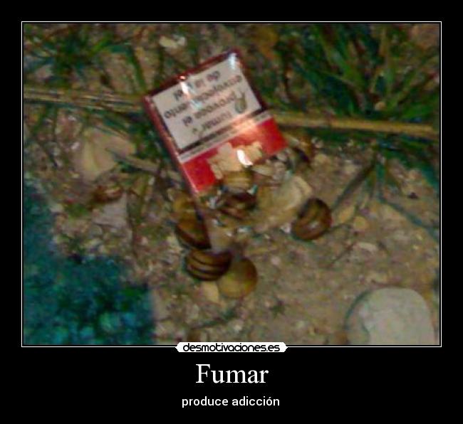 Fumar - 