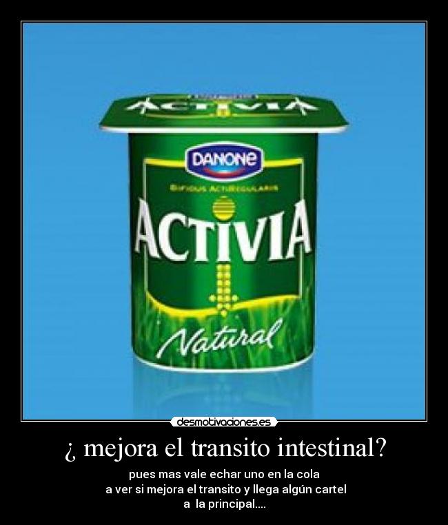 ¿ mejora el transito intestinal? - 