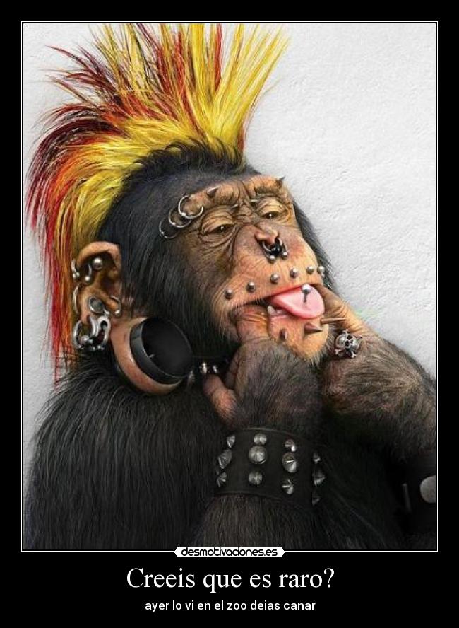 Creeis que es raro? - ayer lo vi en el zoo deias canar
