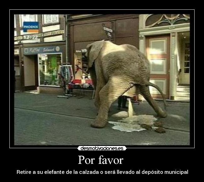 Por favor  - Retire a su elefante de la calzada o será llevado al depósito municipal