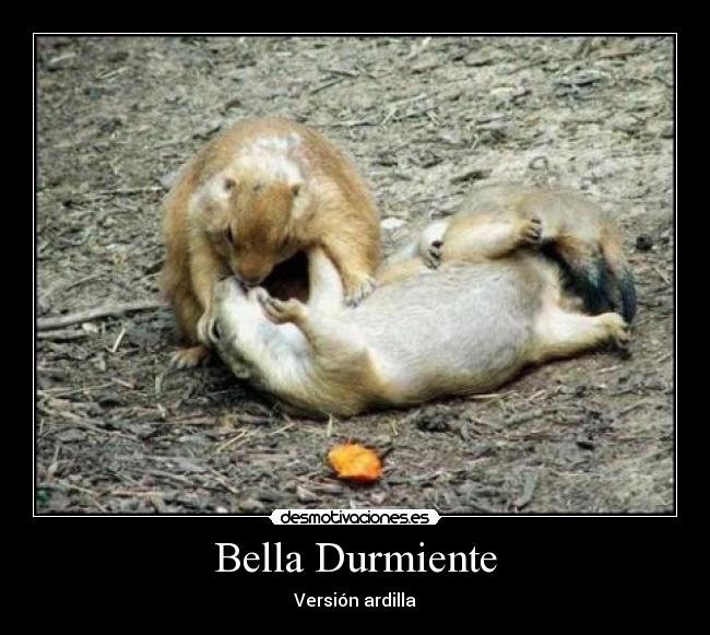 Bella Durmiente - Versión ardilla