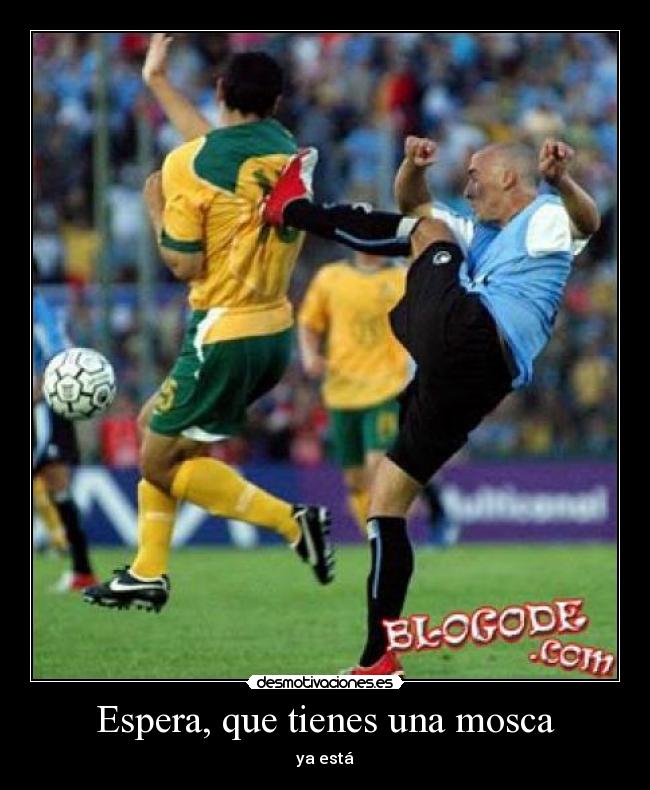 Espera, que tienes una mosca - ya está