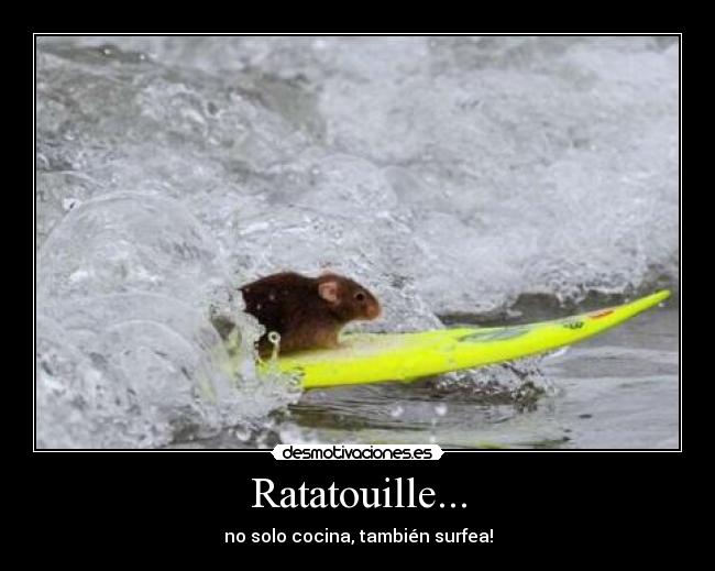 Ratatouille... - no solo cocina, también surfea!