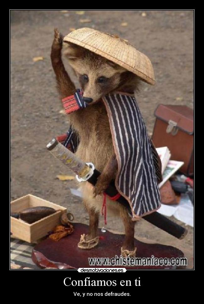 carteles suricato samurai desmotivaciones