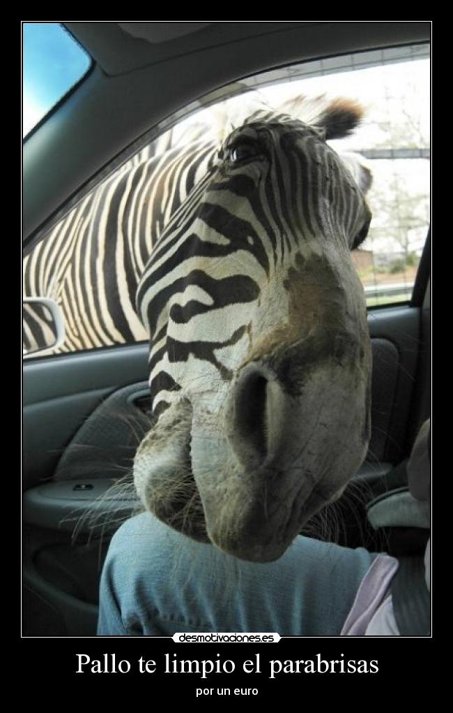 Pallo te limpio el parabrisas -