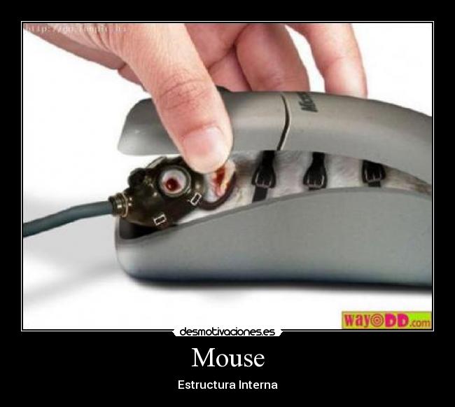 carteles mouse interno estructura lol desmotivaciones