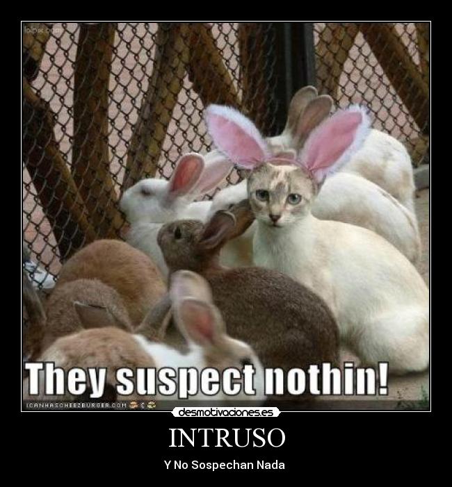 INTRUSO - Y No Sospechan Nada