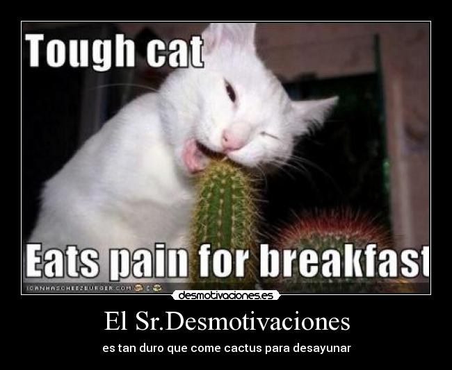 El Sr.Desmotivaciones - es tan duro que come cactus para desayunar