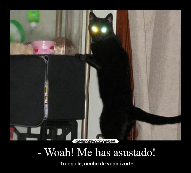 - Woah! Me has asustado! - 