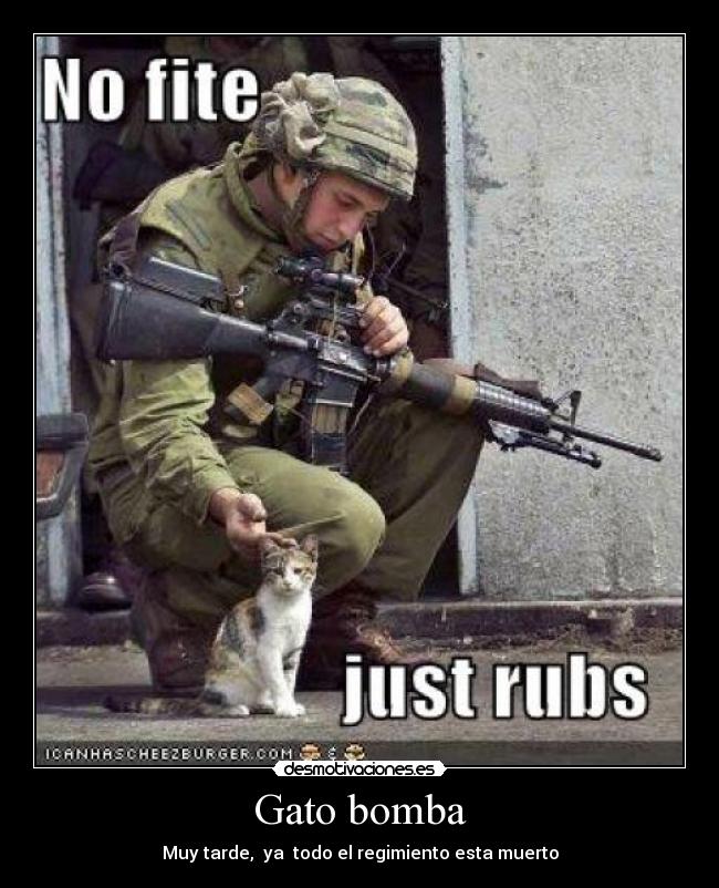 Gato bomba - Muy tarde, ya todo el regimiento esta muerto