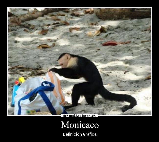 Monicaco - Definición Gráfica