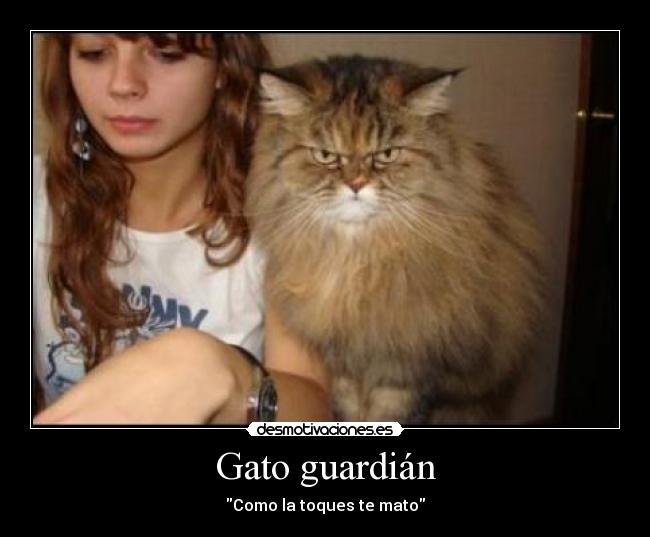 Gato guardián -