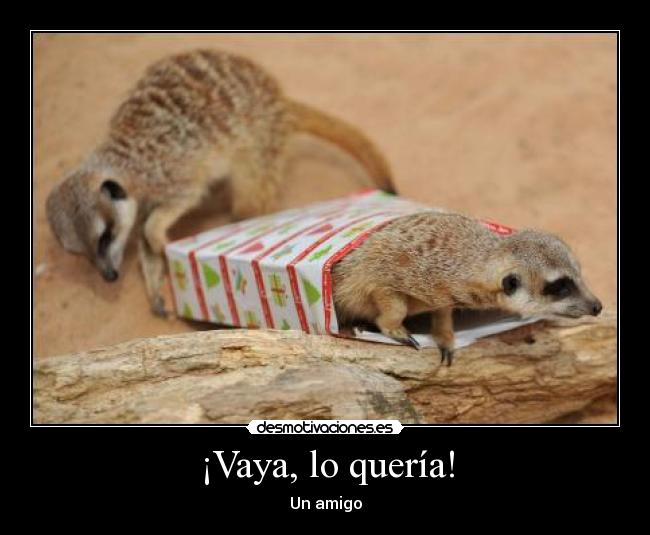 ¡Vaya, lo quería! -