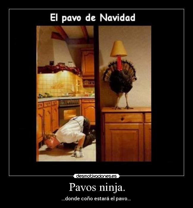 Pavos ninja. - 