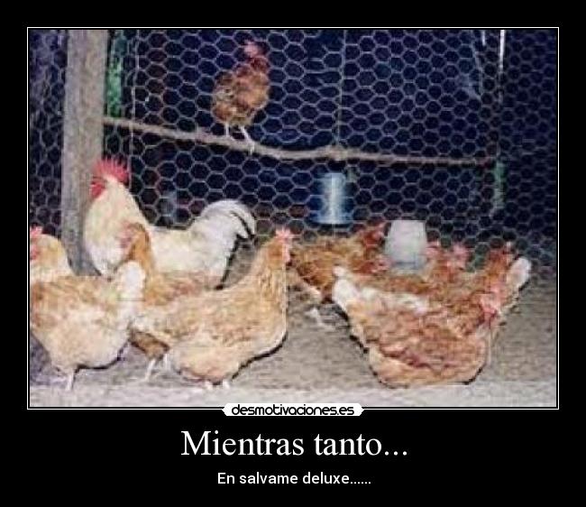 Mientras tanto... -