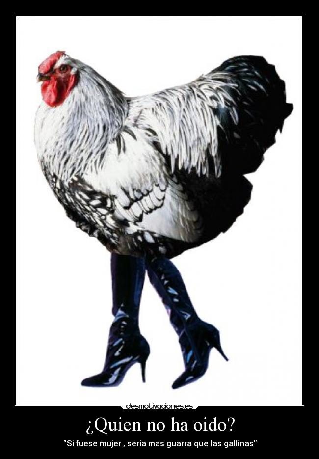 ¿Quien no ha oido? - 