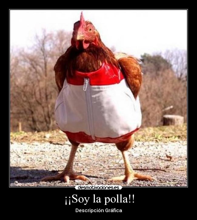 ¡¡Soy la polla!! - 