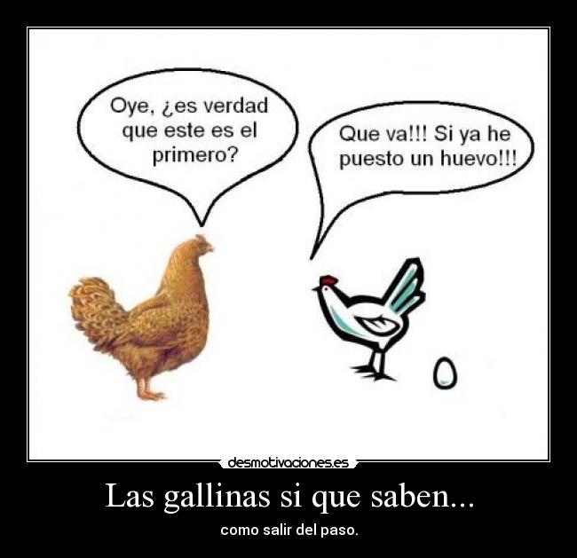 carteles gallina paso sabe desmotivaciones