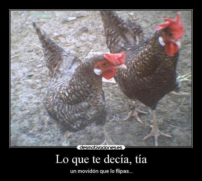 carteles loalilo13 desmotivaciones