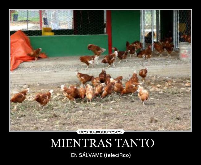 MIENTRAS TANTO -