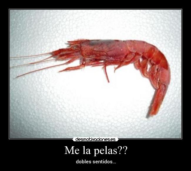 Me la pelas?? - 