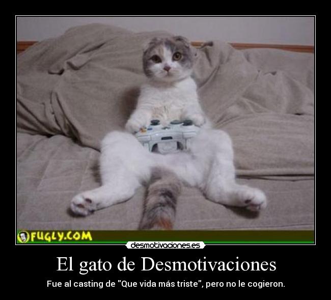 carteles desmotivaciones que vida mas triste desmotivaciones