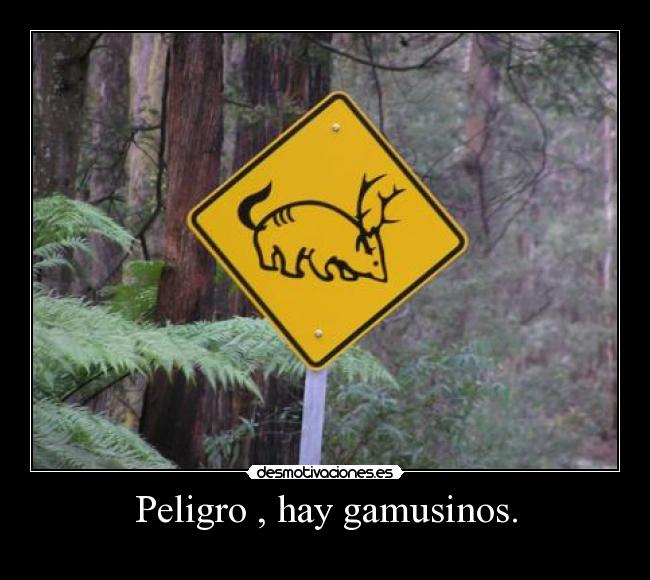 Peligro , hay gamusinos. -