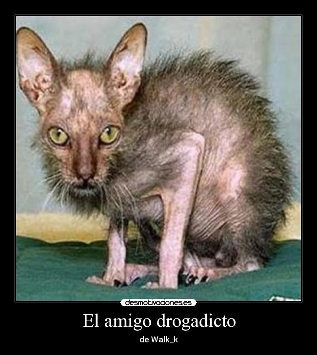 El amigo drogadicto -