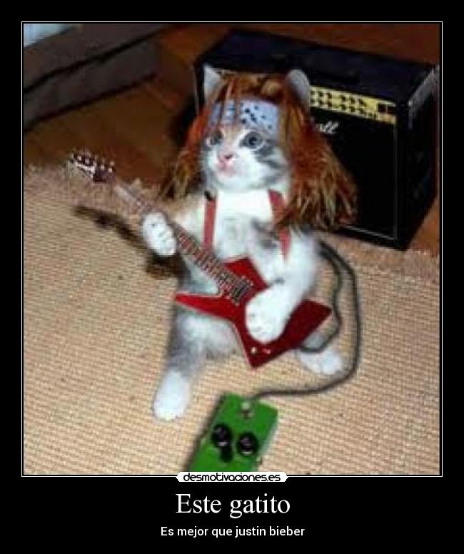 Este gatito -