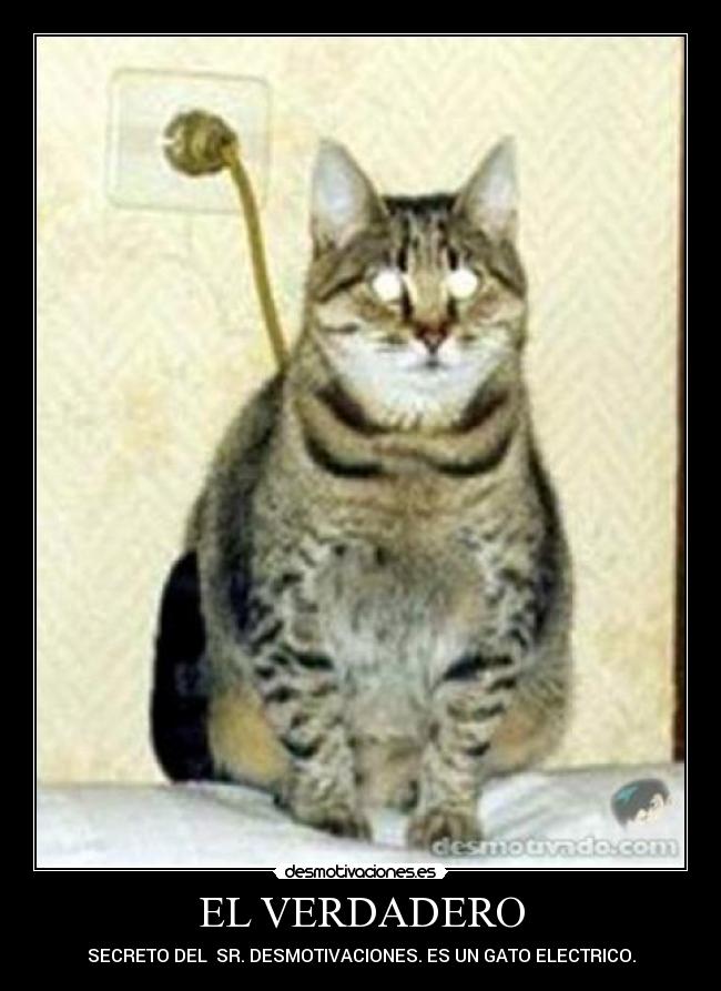 EL VERDADERO - SECRETO DEL SR. DESMOTIVACIONES. ES UN GATO ELECTRICO.