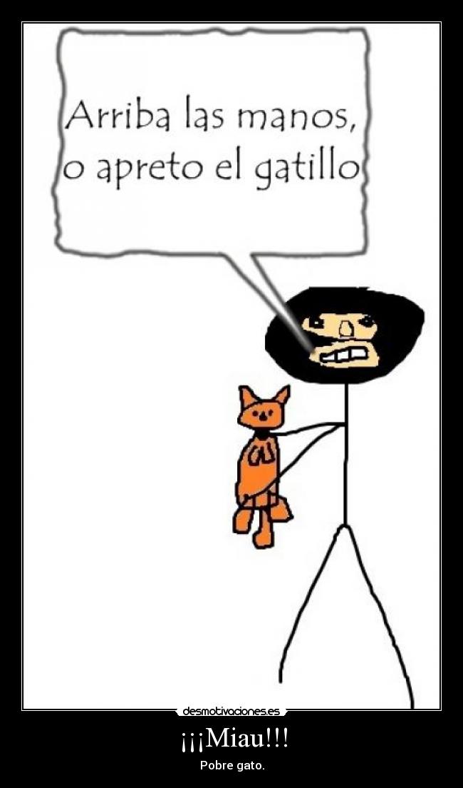 ¡¡¡Miau!!! - Pobre gato.