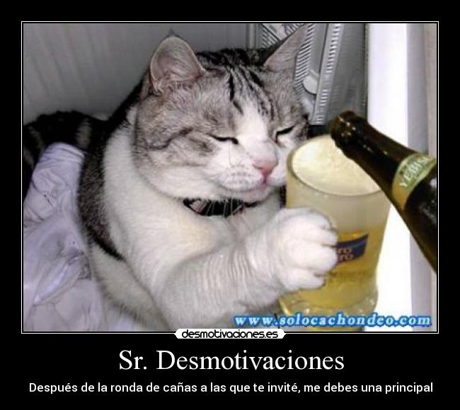 Sr. Desmotivaciones - 