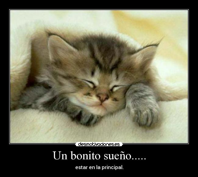 Un bonito sueño..... -