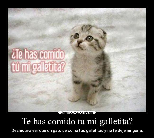 Te has comido tu mi galletita? - 