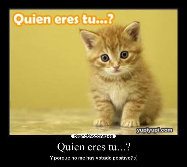 Quien eres tu...? -