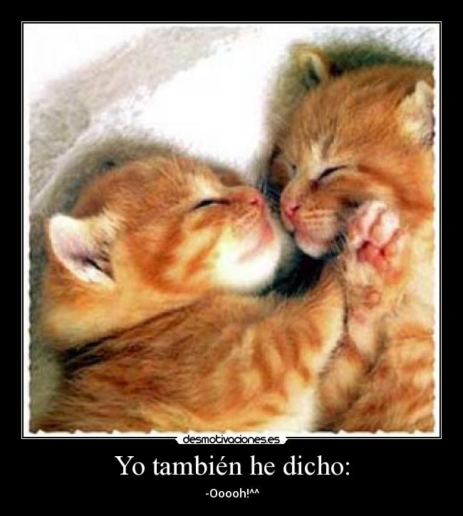 Yo también he dicho: - -Ooooh!^^