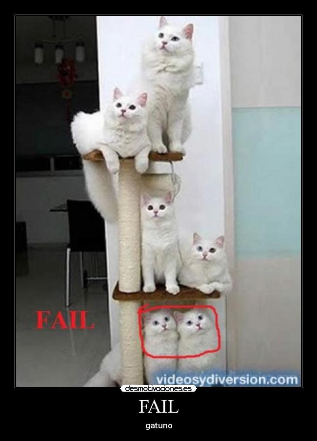 FAIL -