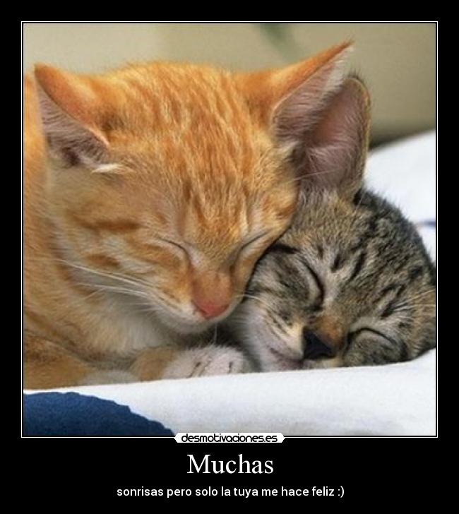 Muchas - sonrisas pero solo la tuya me hace feliz :)