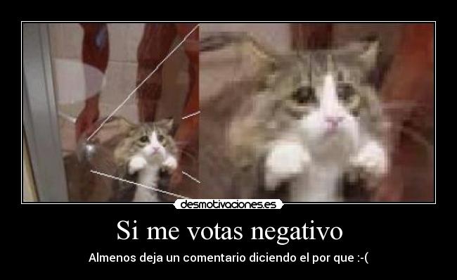 Si me votas negativo - 