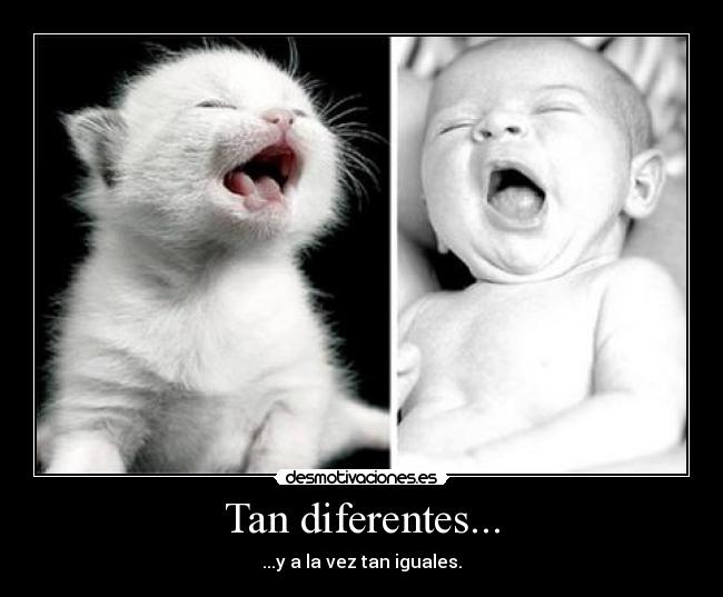 Tan diferentes... - ...y a la vez tan iguales.