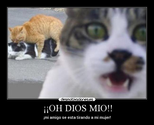 ¡¡OH DIOS MIO!! - 