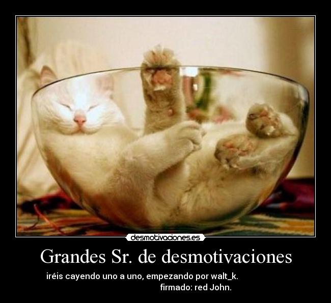 Grandes Sr. de desmotivaciones - 
