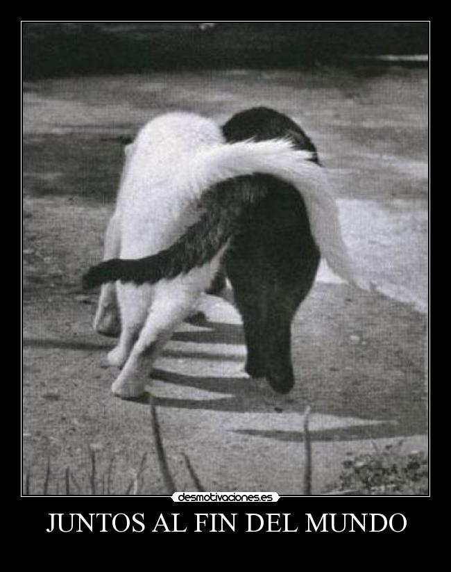 JUNTOS AL FIN DEL MUNDO -