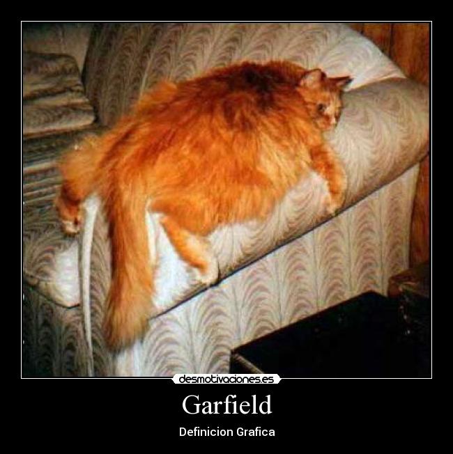 Garfield -