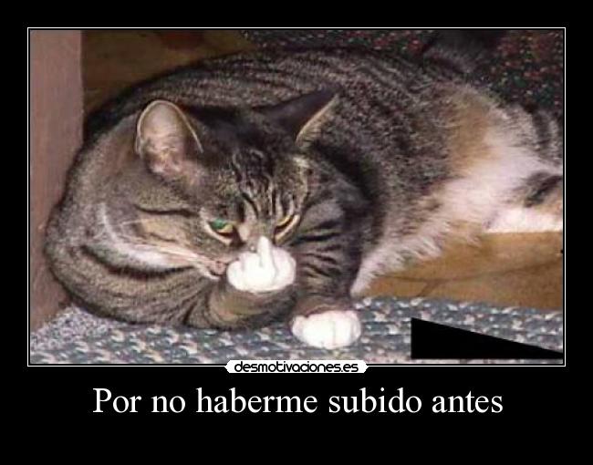 Por no haberme subido antes -