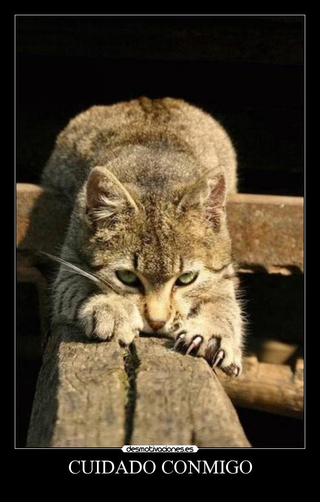 CUIDADO CONMIGO -