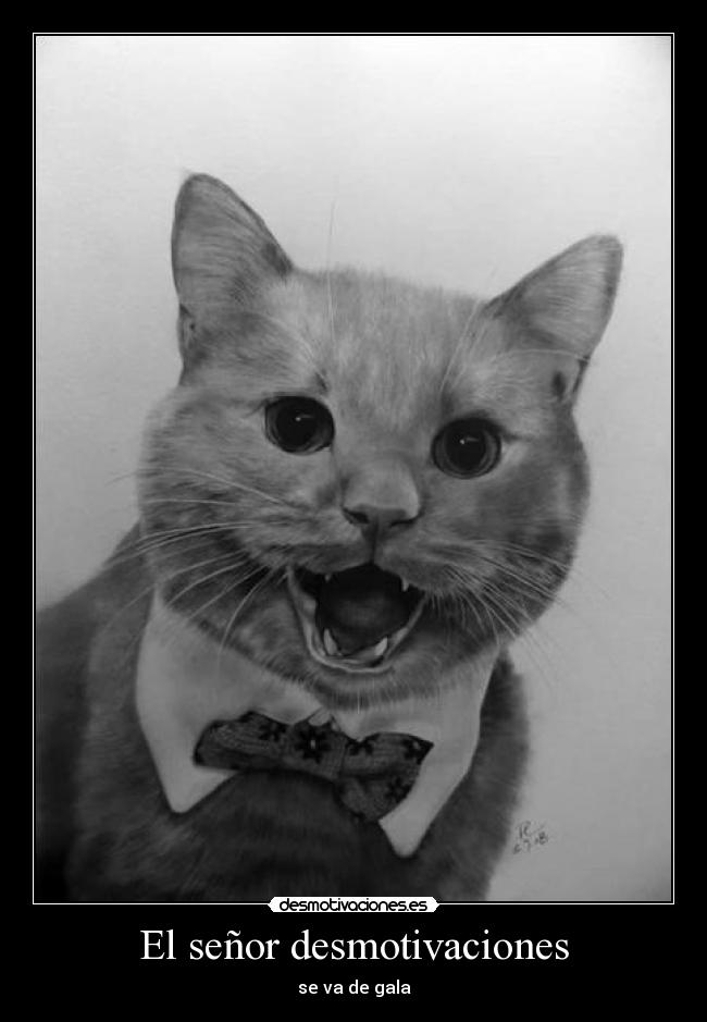 El señor desmotivaciones -