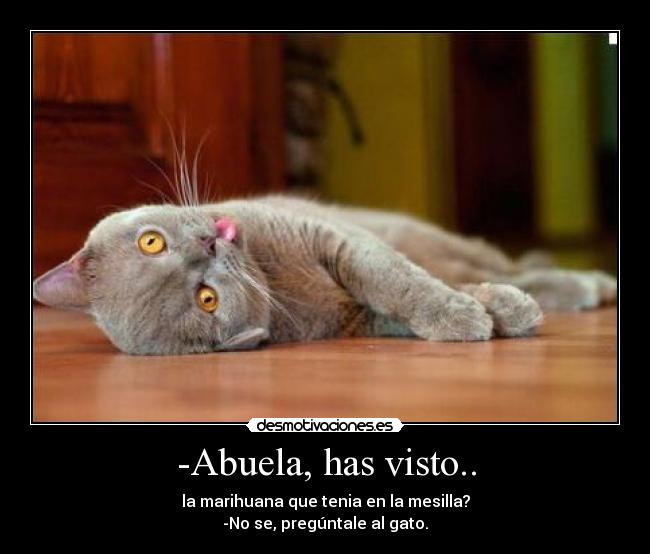 -Abuela, has visto.. -