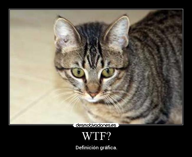 WTF? - 